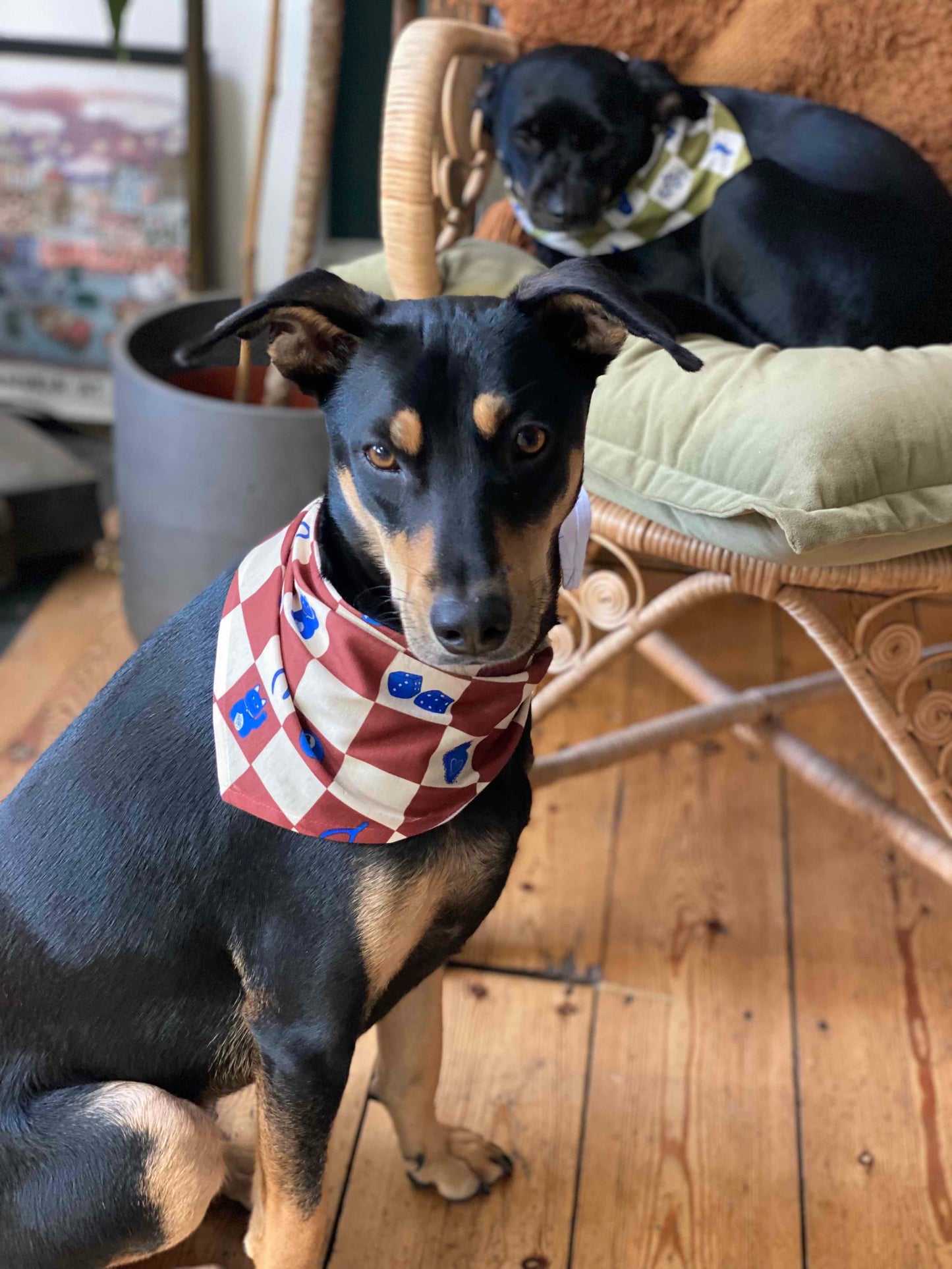 Lucky dog bandana